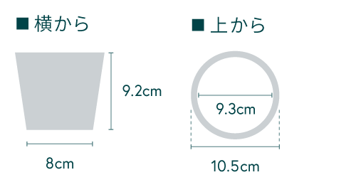 パンダガジュマル Table-S