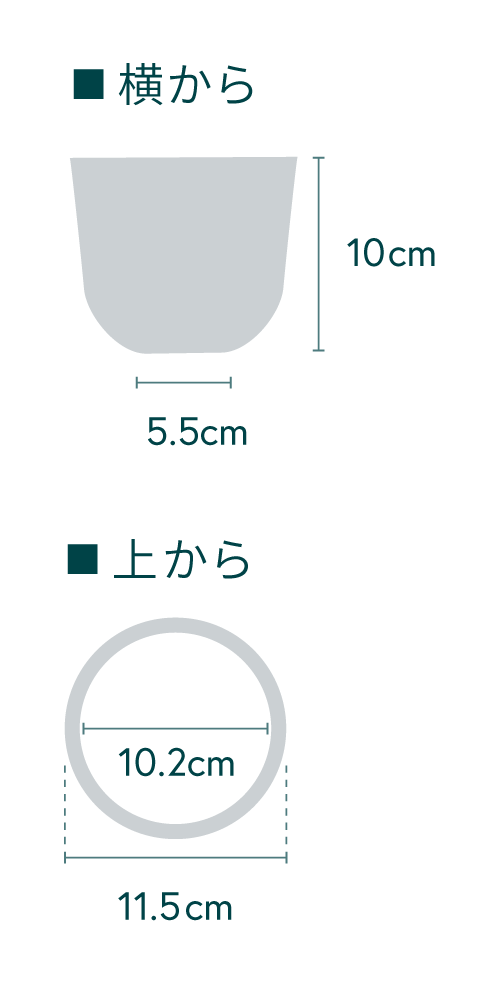 【クリアプランツ】オキシカルジューム Table-S