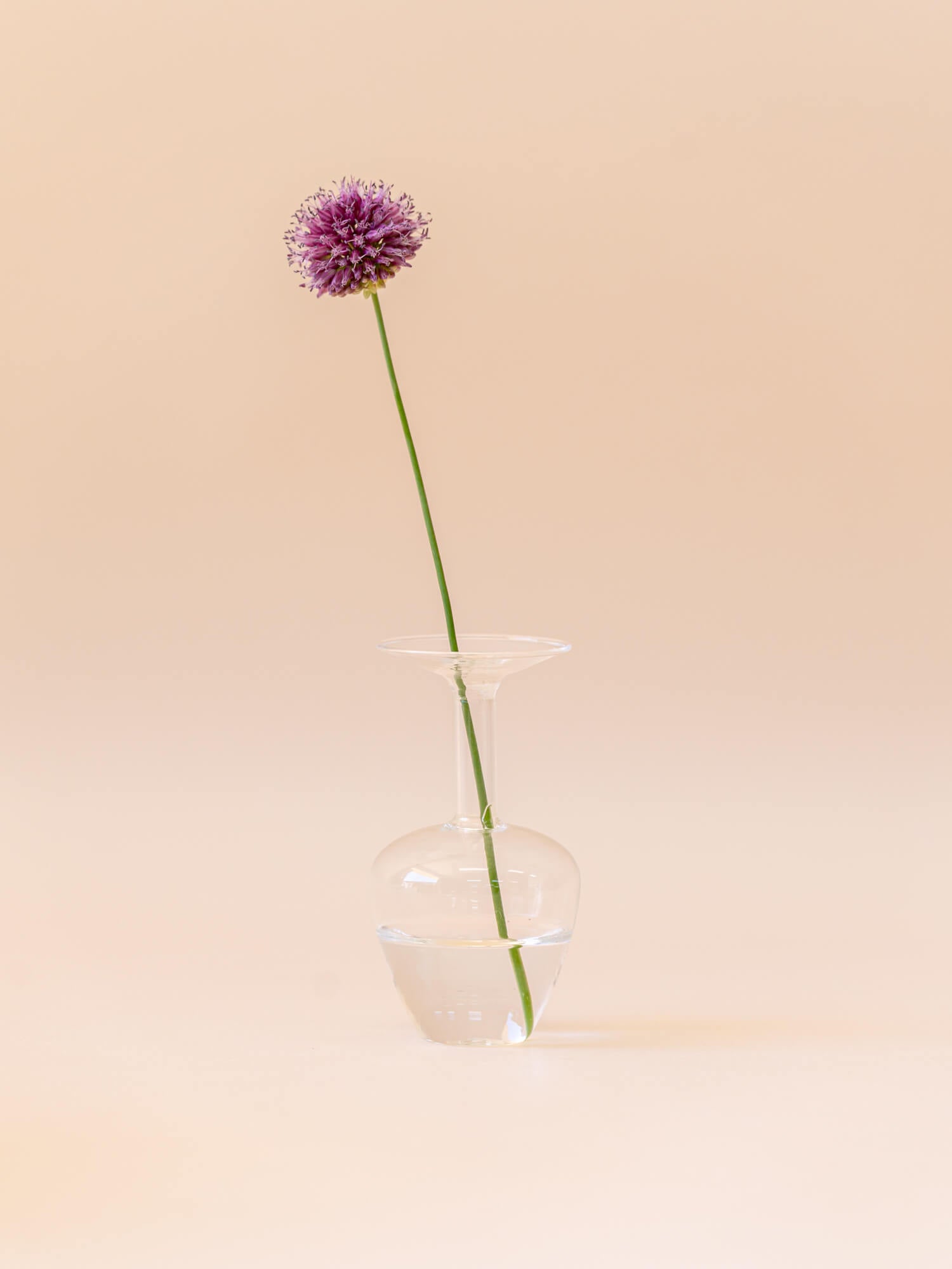 amabro MINI VASE -CLEAR - A -