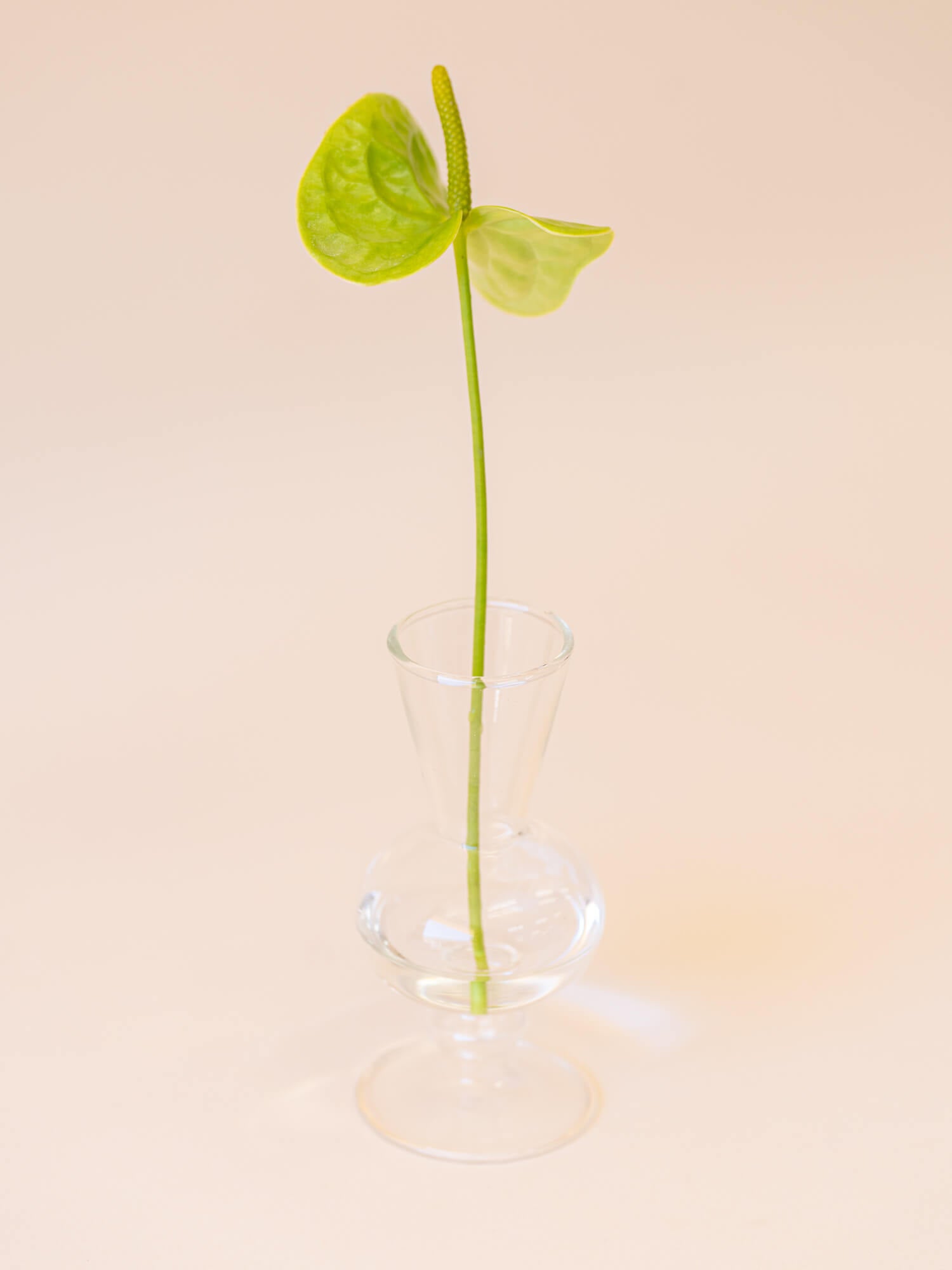 amabro MINI VASE -CLEAR - B -