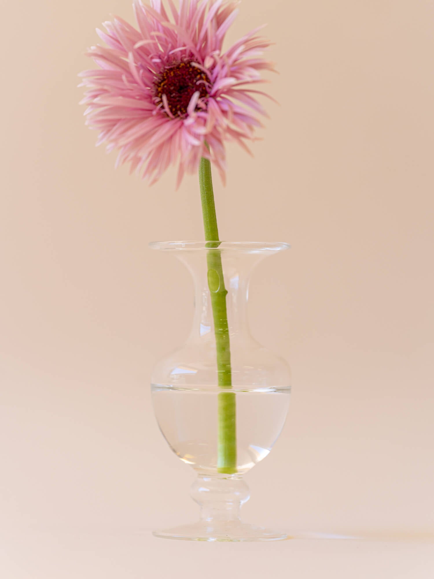 amabro MINI VASE -CLEAR - E -