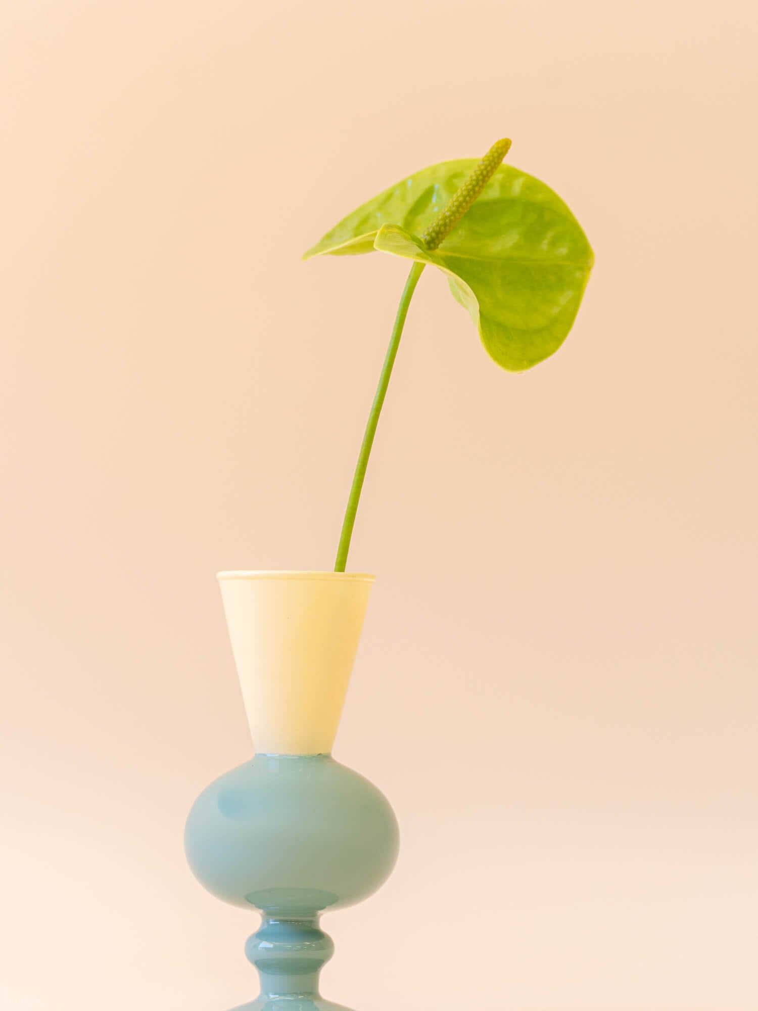 amabro MINI VASE -TWO TONE - Beige × Green -