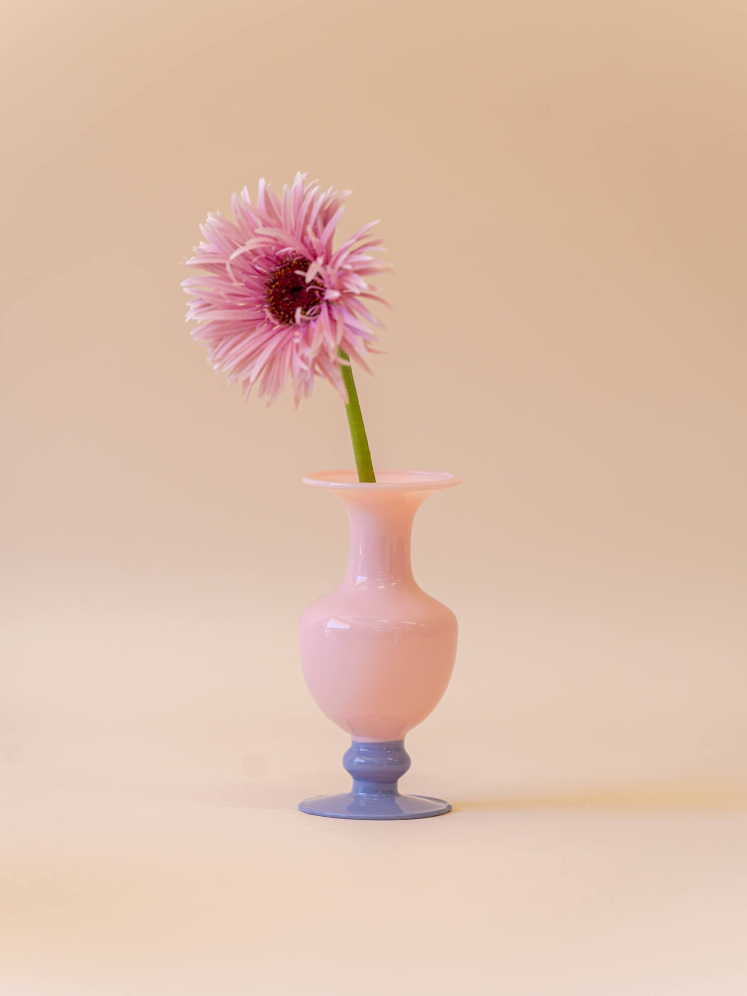 amabro  MINI VASE -TWO TONE - Pink × Blue -