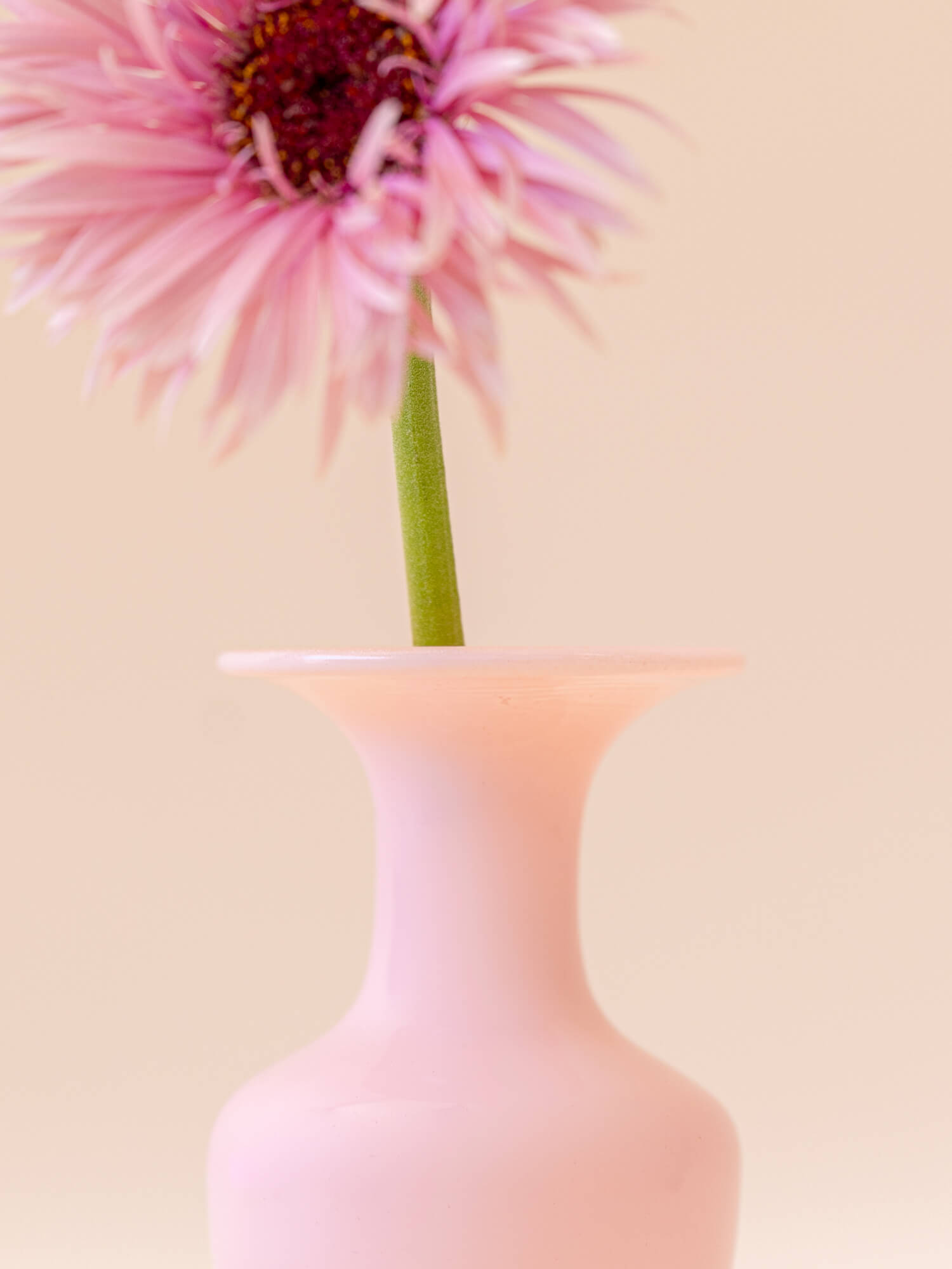 amabro  MINI VASE -TWO TONE - Pink × Blue -