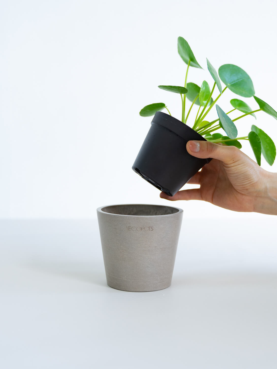 鉢カバー Table-S ECOPOTS  Amsterdam