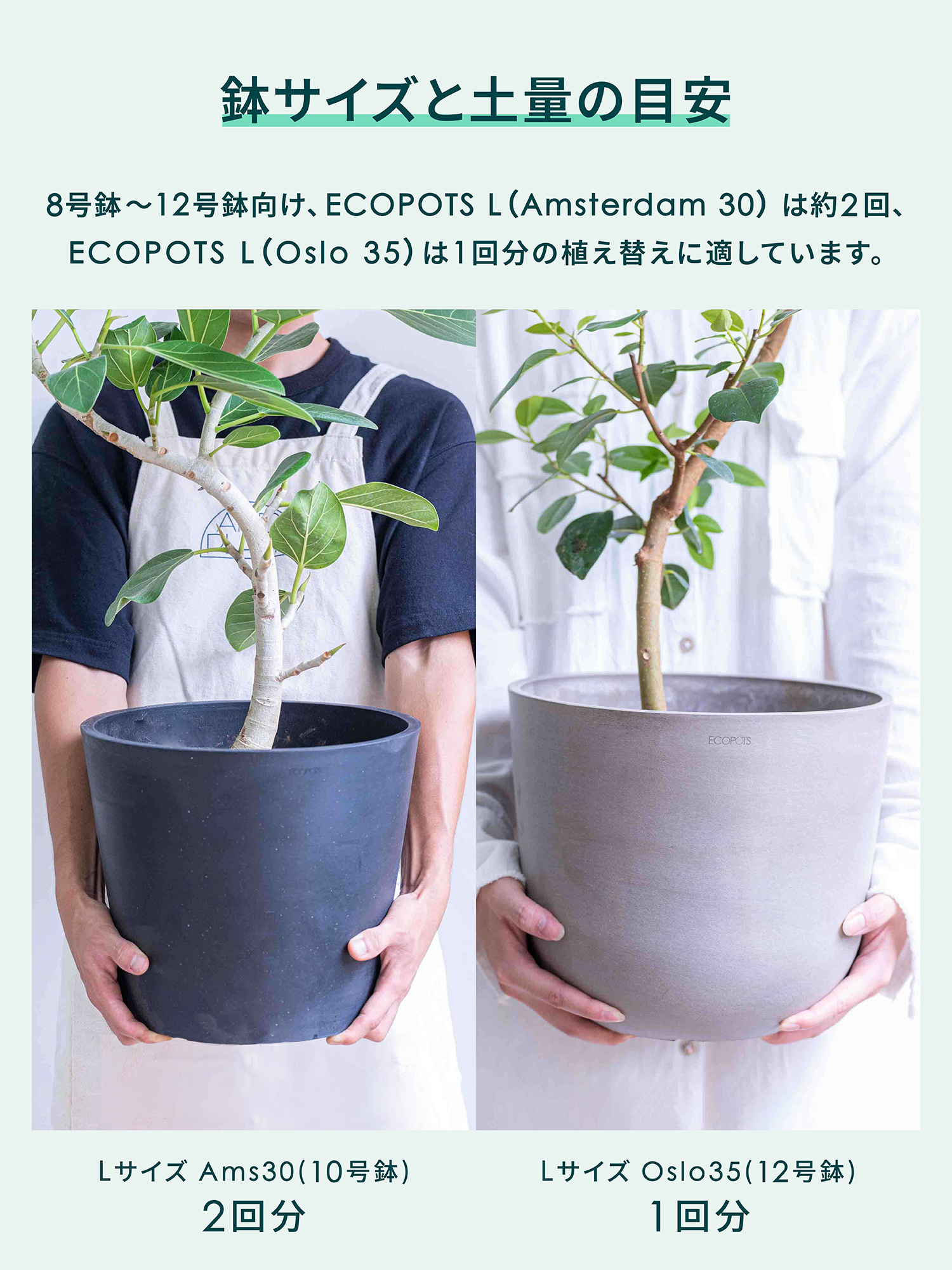 ロマンティコフラワー SOIL 観葉植物の土 25L <8~12号鉢向け>