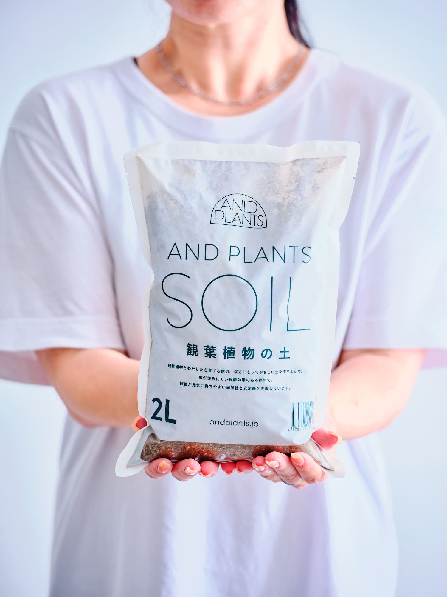 ロマンティコフラワー SOIL 観葉植物の土 2L <6号鉢向け>