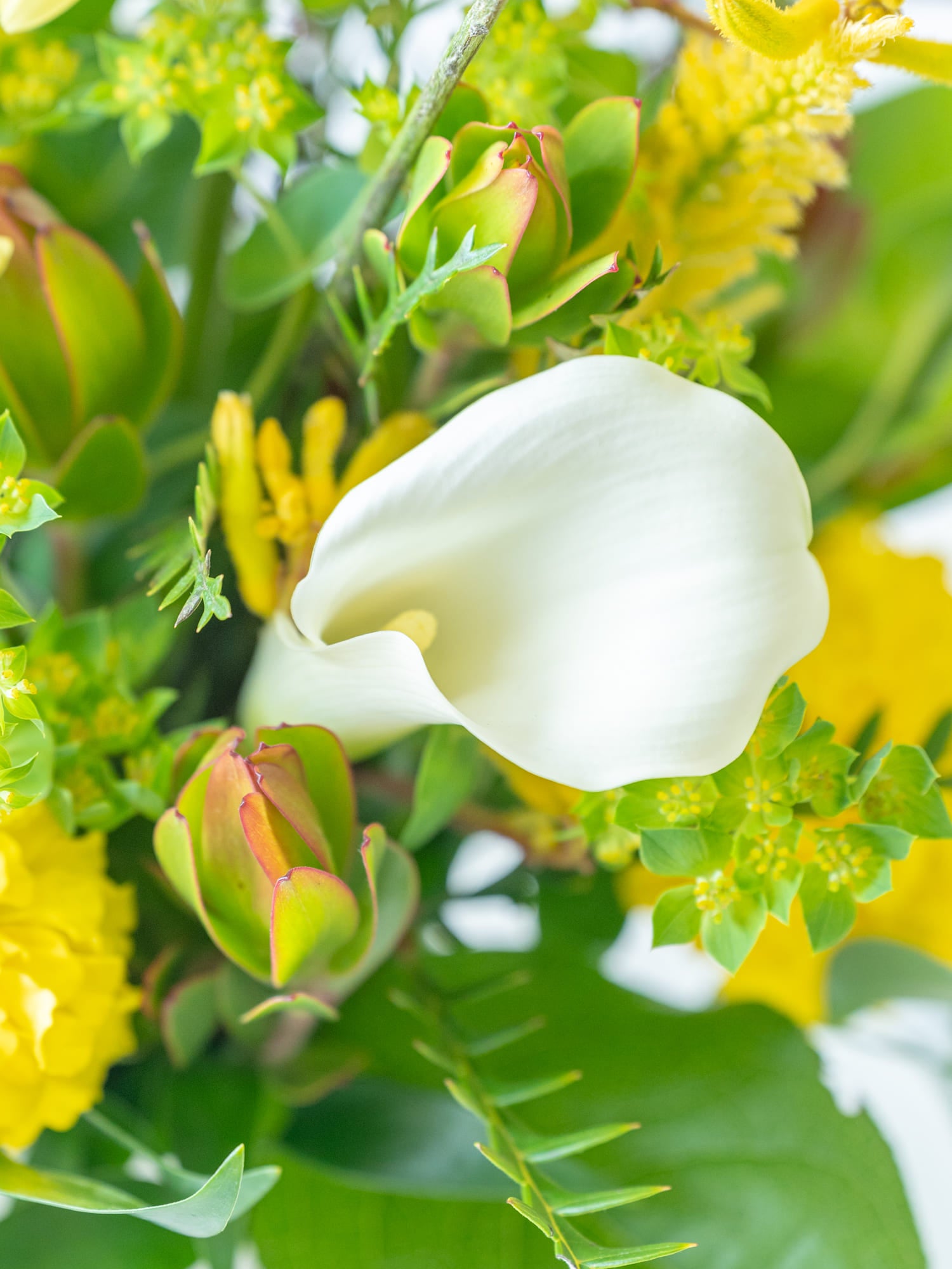 季節のおまかせ生花アレンジ M - イエロー -