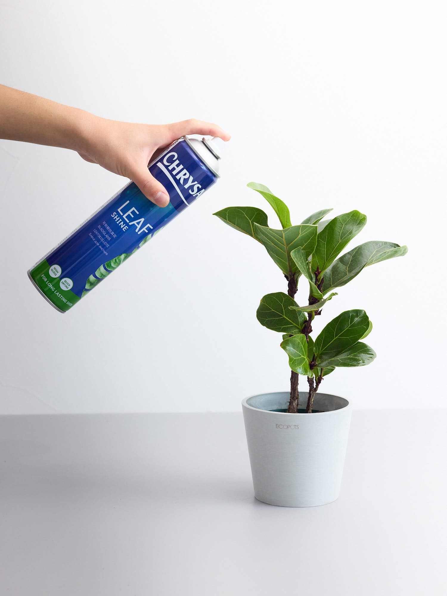 観葉植物のツヤ出しスプレー リーフシャイン 600ml