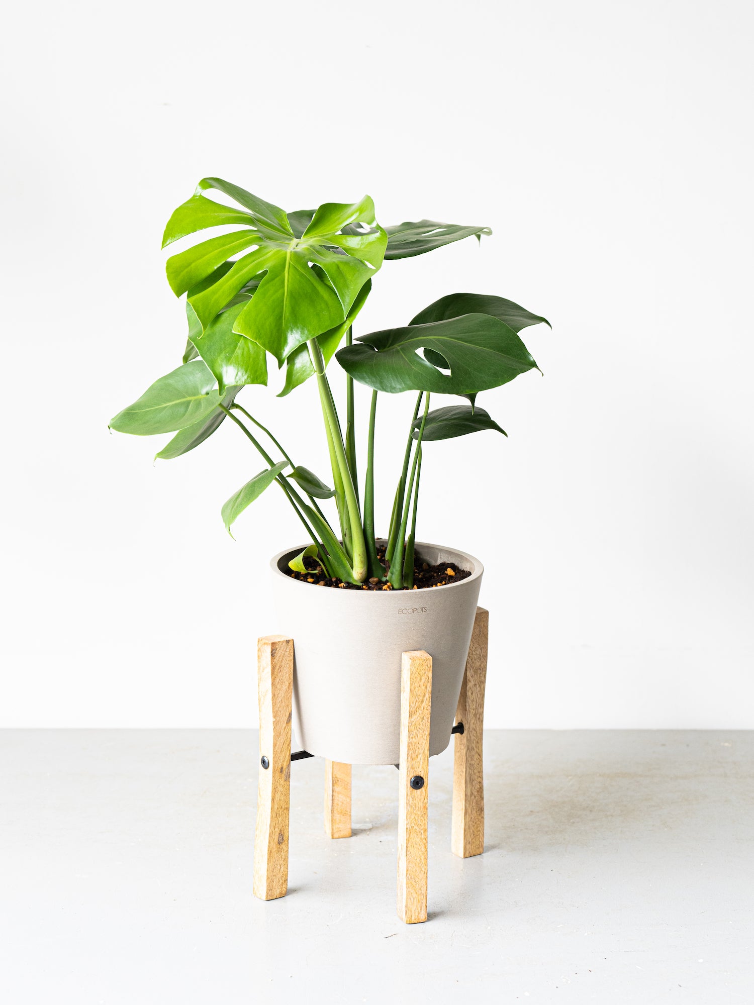 Plant Stand Wood - S