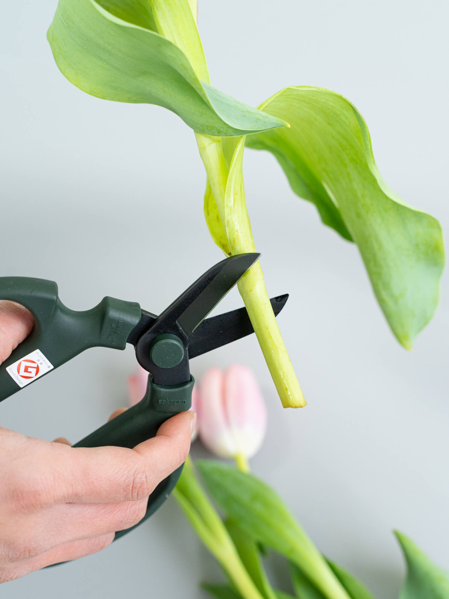 Sakagen Flower Shears