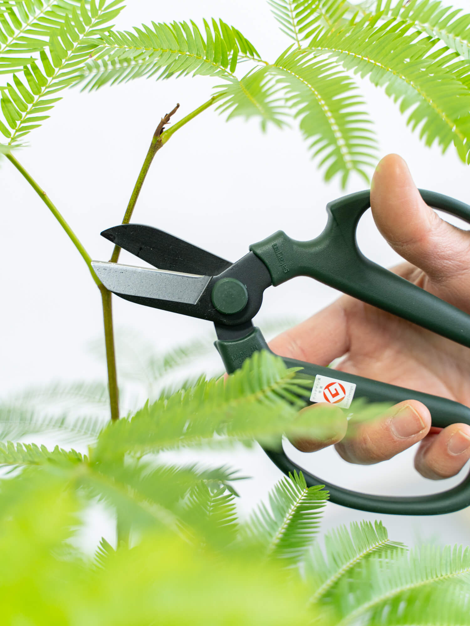 Sakagen Flower Shears