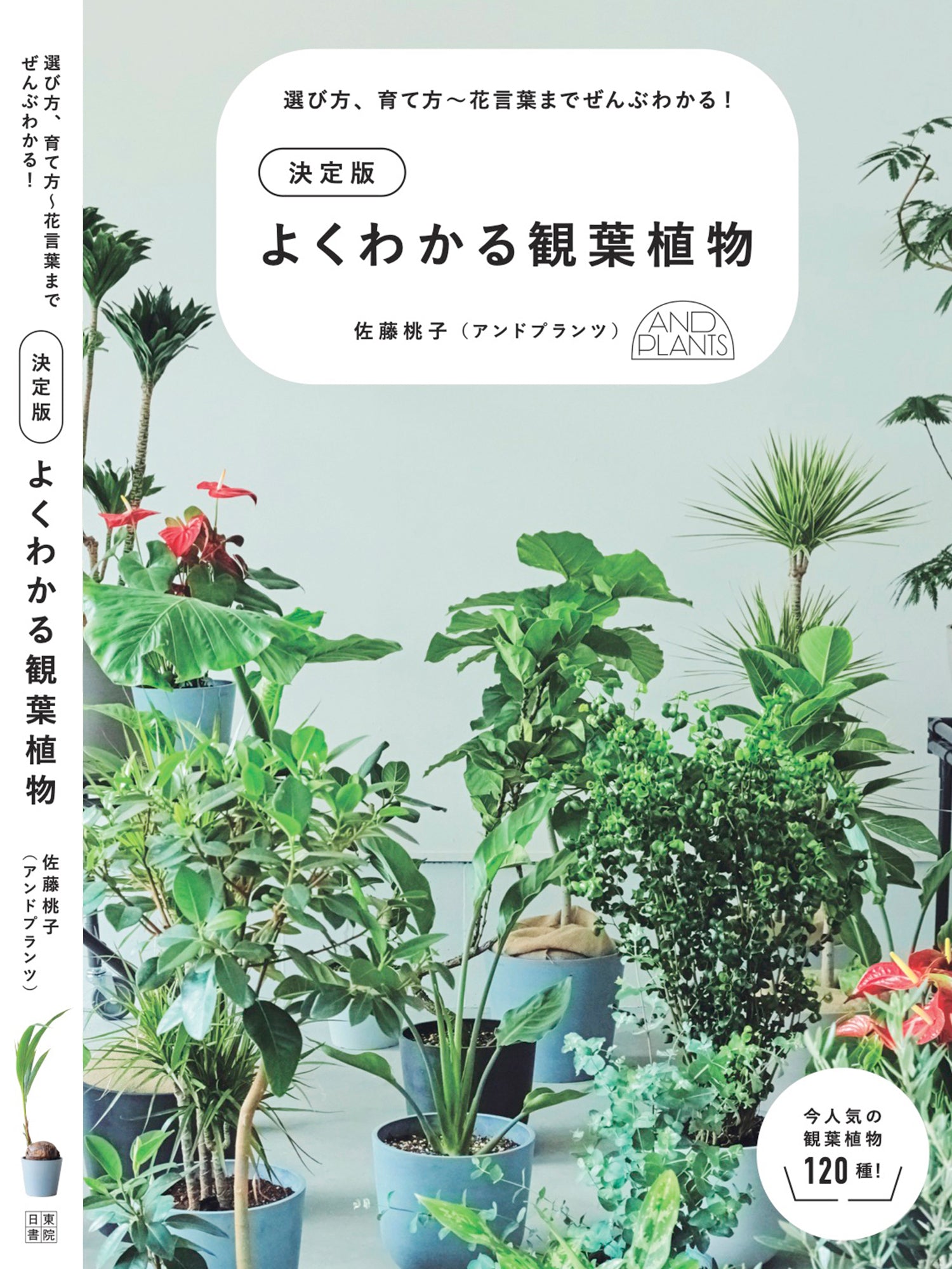 書籍「決定版  よくわかる観葉植物」