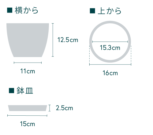 モンステラ・バリエガータ Table-L